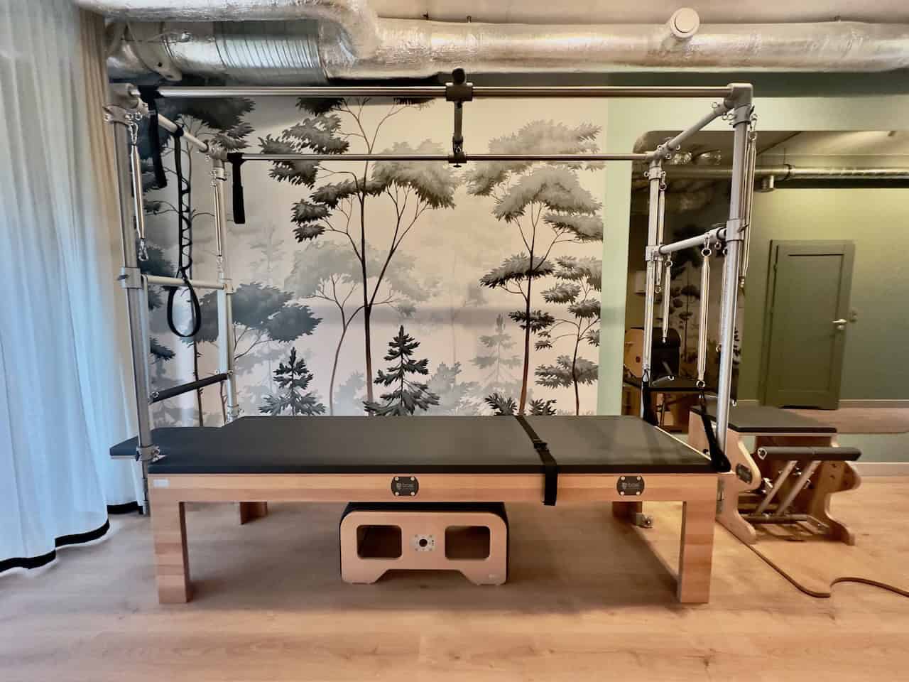 BASI Cadillac against the forest mural